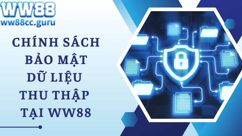 Những dữ liệu mà WW88 sẽ thu thập theo chính sách bảo mật