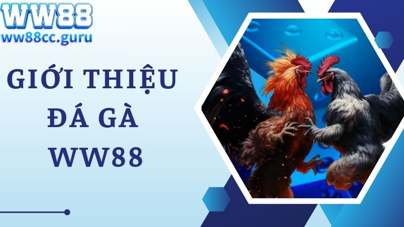 Khám phá thông tin về sảnh game đá gà WW88 hấp dẫn